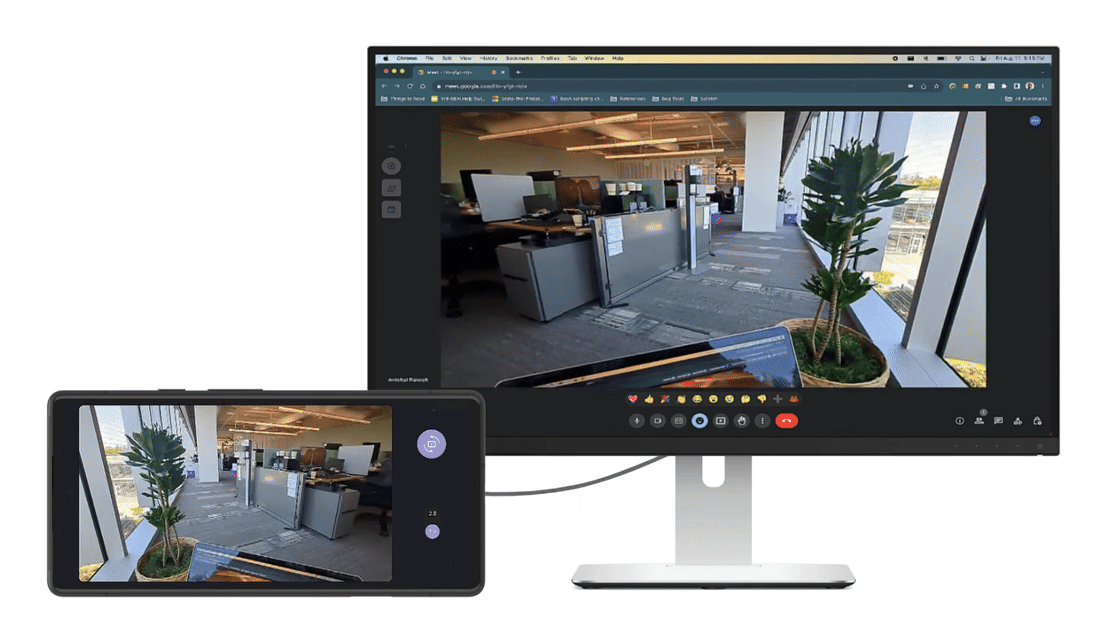 feed della webcam trasmesso in streaming all&#39;host